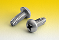 Phillips Round Thread Cutting Screws Type F