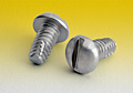 Slotted Round Thread Cutting Screws Type F